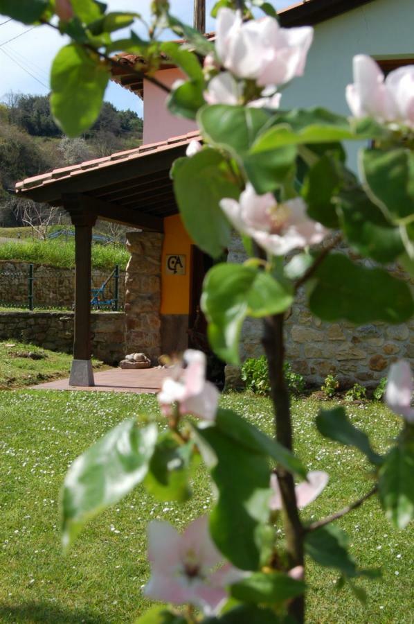 Willa Casa Del Sella El Llano Zewnętrze zdjęcie