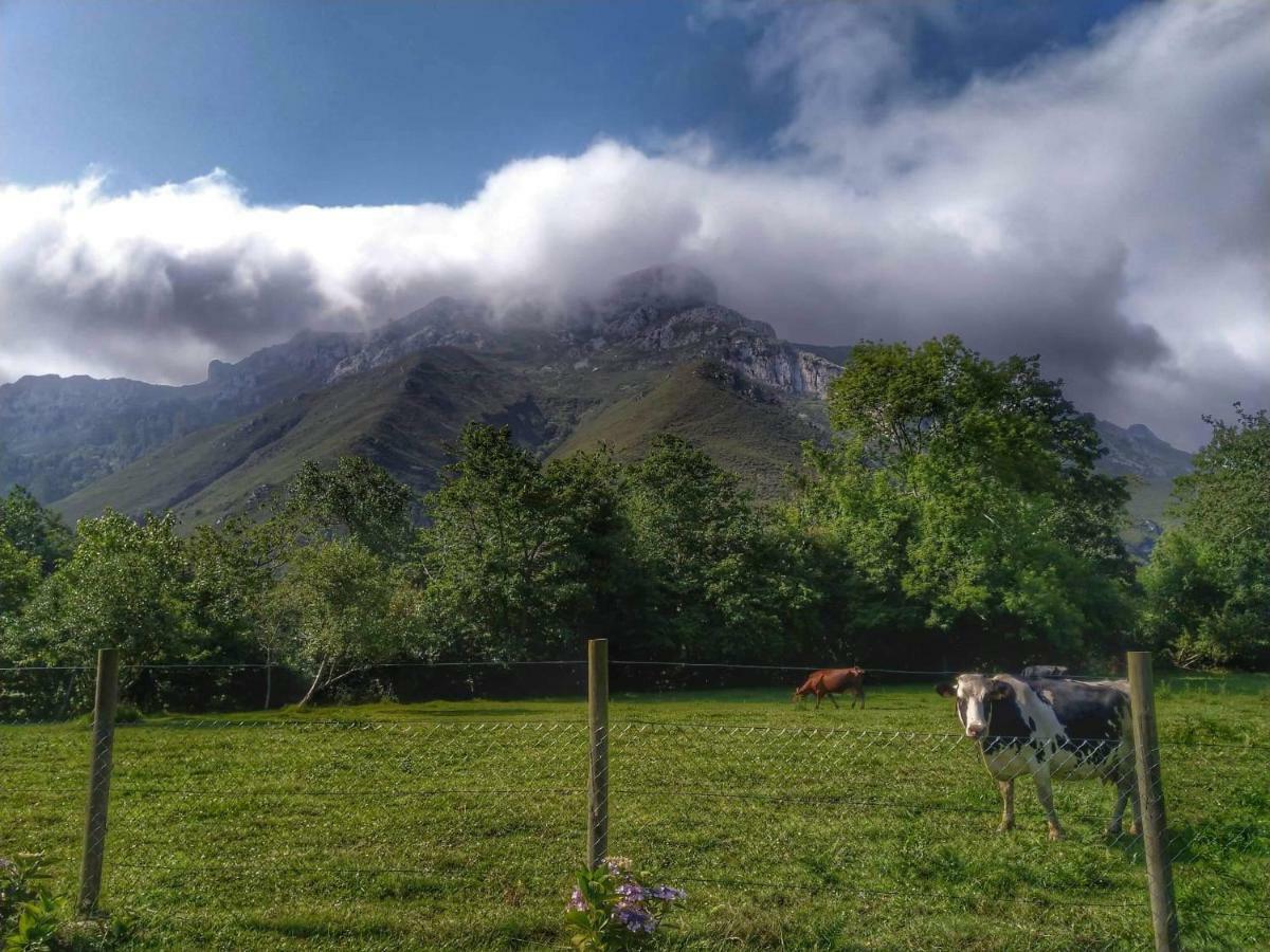 Willa Casa Del Sella El Llano Zewnętrze zdjęcie